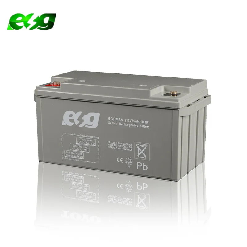 ESG High rate UPS backup Valve Regulated Lead Acid (VRLA) batteries 12V 65AH maintenance free battery 60AH