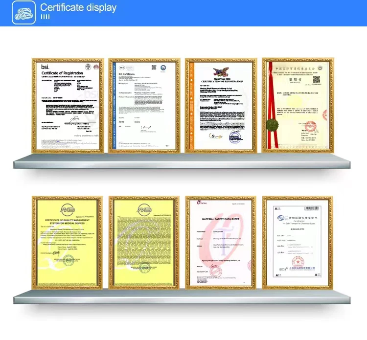 ZHUSHI China Manufacturer Diabetes Foot Patch Ginger Organic Detox Feet Cleansing Ginger Foot Detox Pads