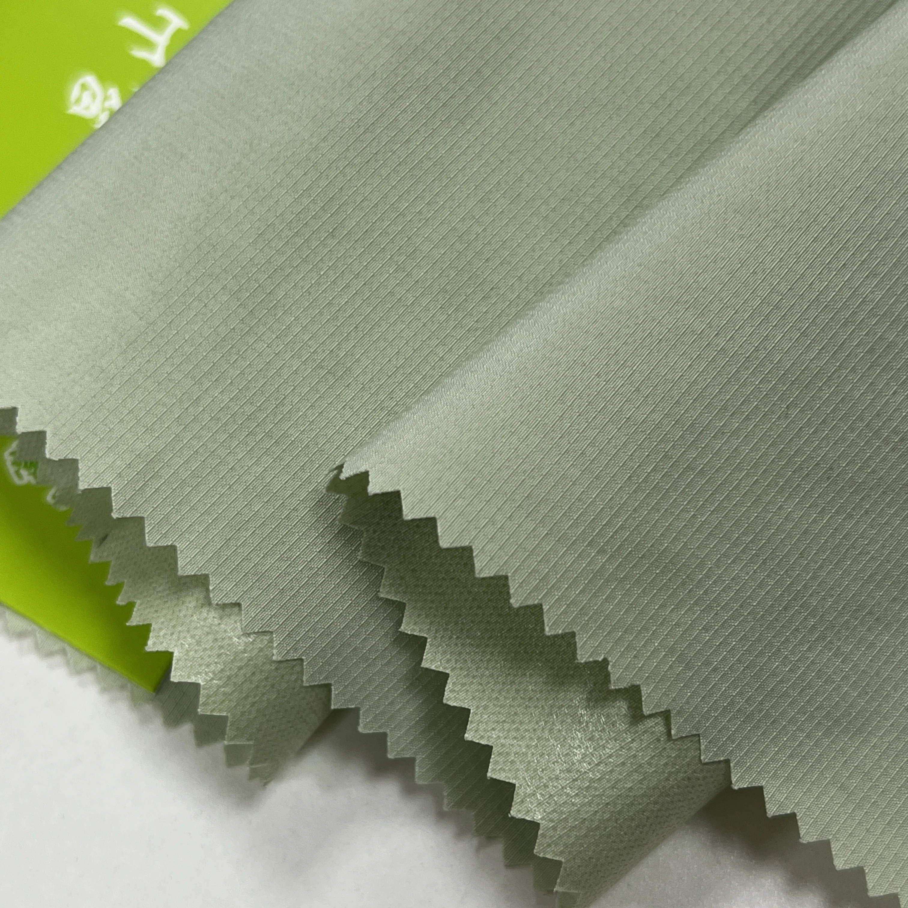 Nylon/Polyester  Velvet  Brushed Tricot Velour Fabric