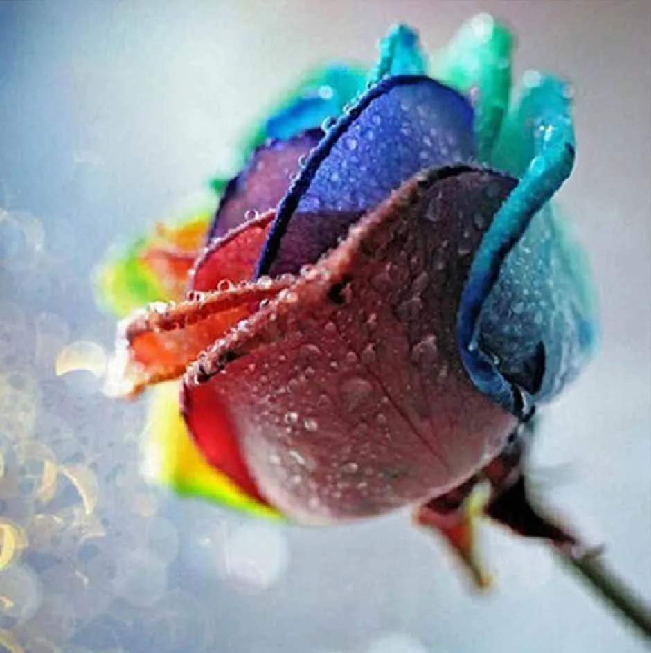 Handwork 5D Full Round Drill Beautiful Flowers DIY Crystal Diamond Painting Custom