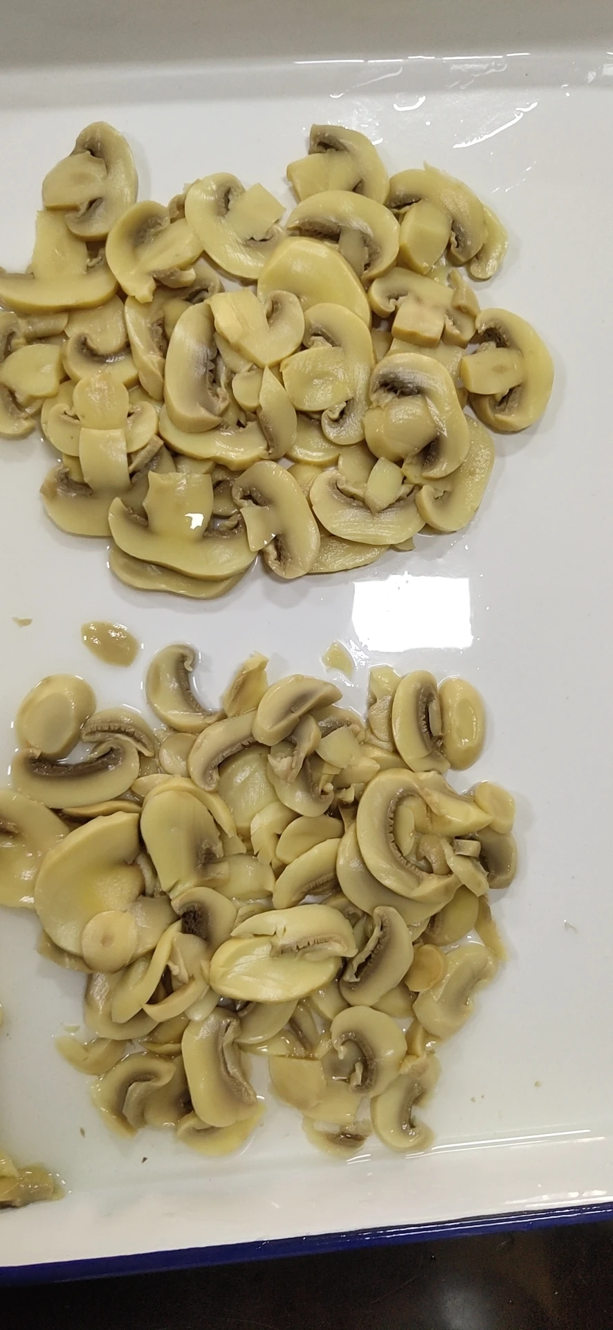 
Hot sale canned button mushrooms-Wholesale 