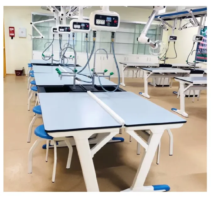 Education and training equipment for primary and middle school students