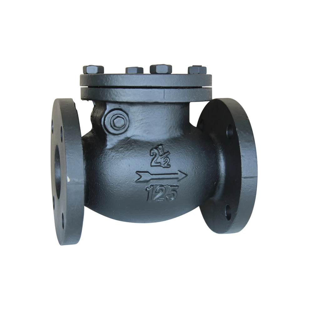 Factory Hot Selling DN80 PN16 Flanged Type Ductile Iron Swing Check Valve