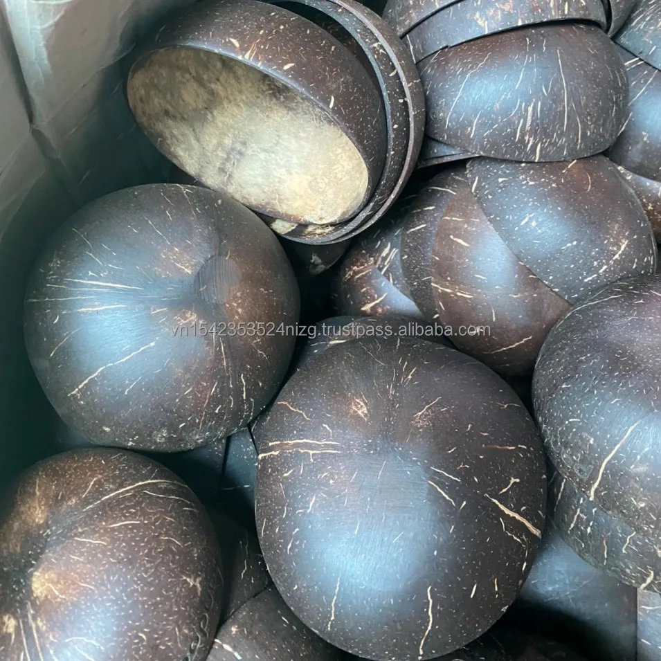 Coconut Shell Cup Coconut Bowl for Dinnerware Natural Made in Vietnam Bamboo Home Hotel Restaurant