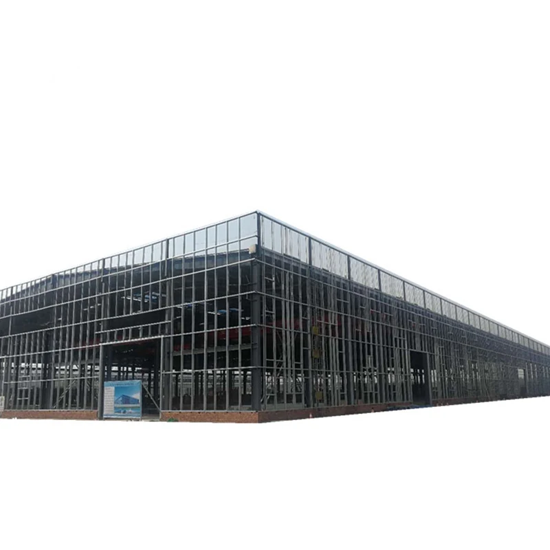 Factory Senwang metal Space frame Steel Structure building Prefab Warehouse commercial prefabricated steel structures building