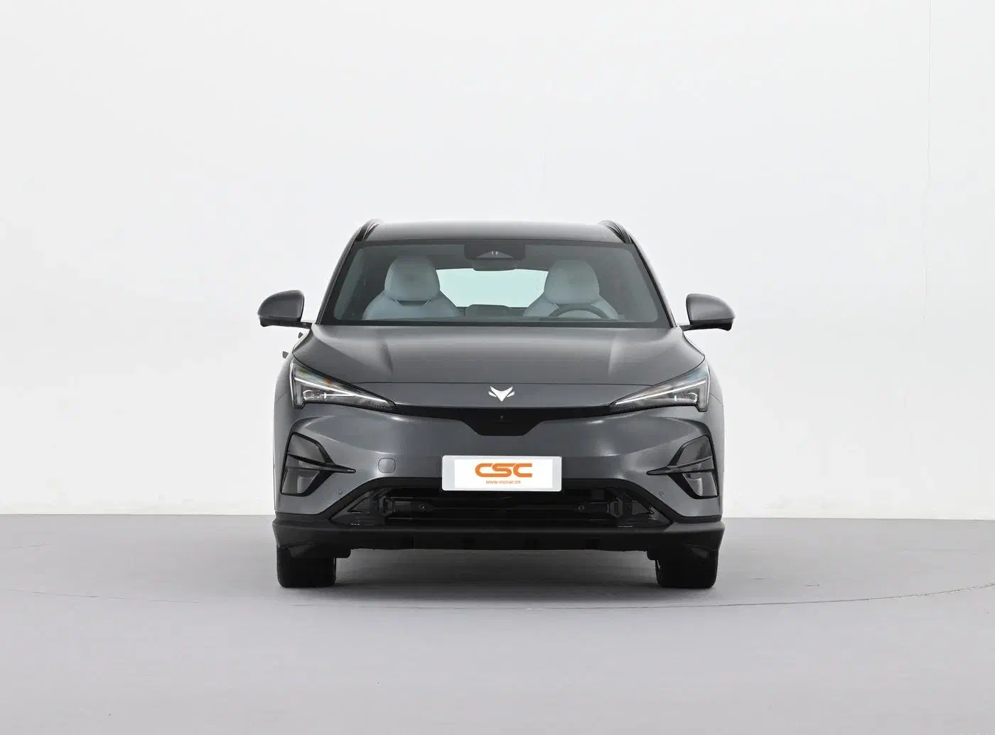 Premium Arcfox Alpha T5 Compact SUV: New Energy Vehicle