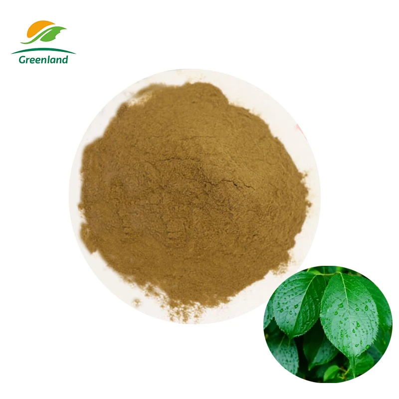 Eucommia ulmoides leaf extract  tu-chung Extract Powder Chlorogenic Acid