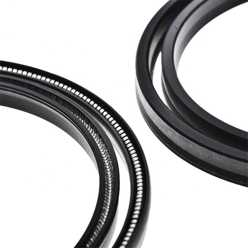 Rotary Shaft Seal Energized PTFE Spring Energized Seals Standard Size from Factory