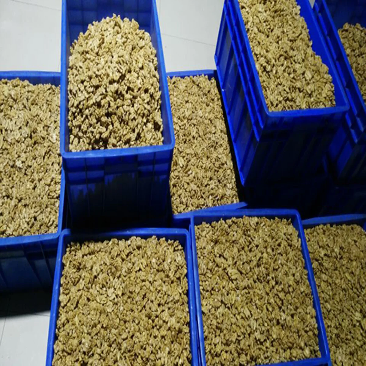 Factory Direct Hot Sale High Quality Xinjiang 185 Light Color Half Walnut Kernels