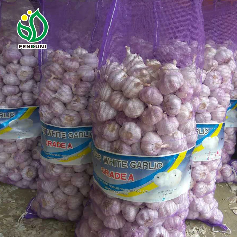Fresh garlic new crop ajo alho ali normal white and pure white supply from China jin xiang factory with excellent quality