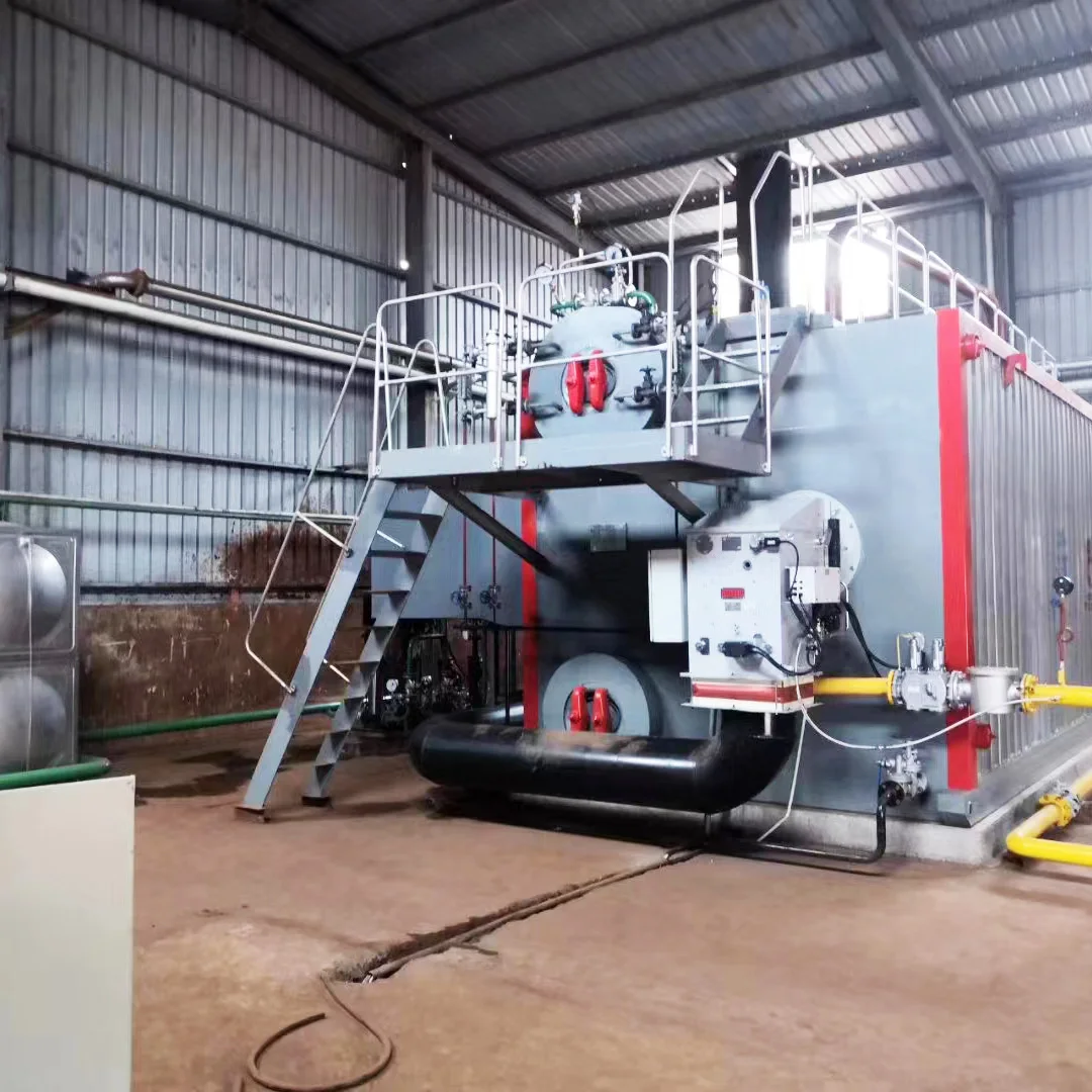 dual-function condensing heating gas boiler methane gas fired boiler price