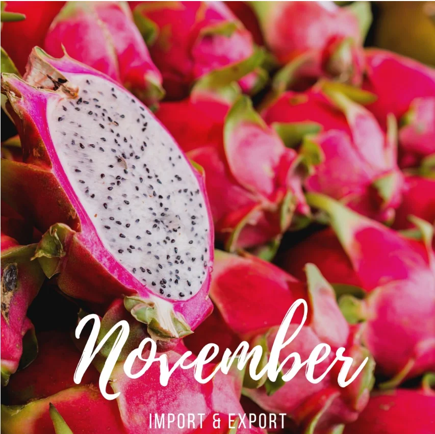 FRESH DRAGON FRUIT EXPORT TO INDIA /+84 901445086