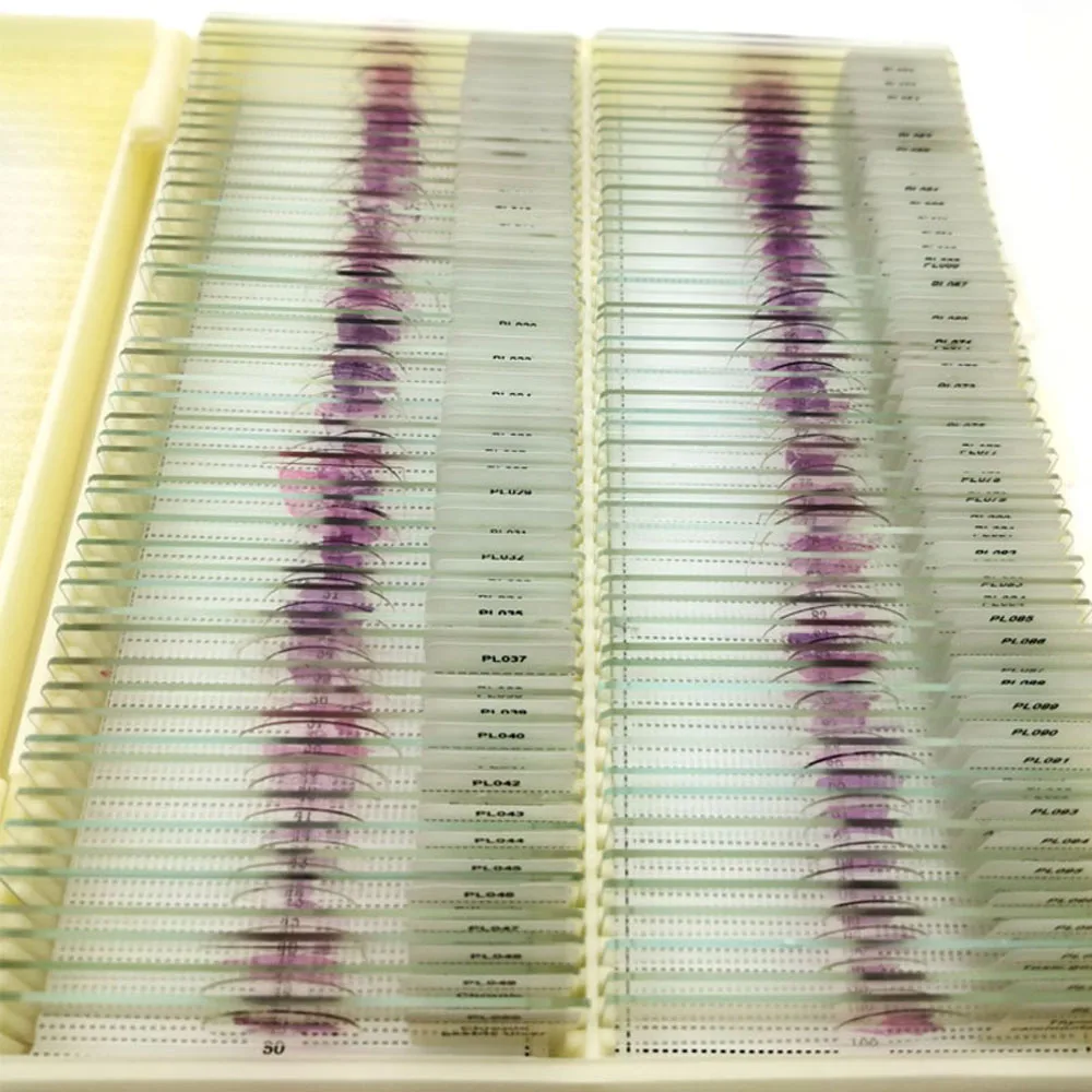 100Pcs Human Disease Pathology Prepared Slides Teaching Prepred Microscope Slides