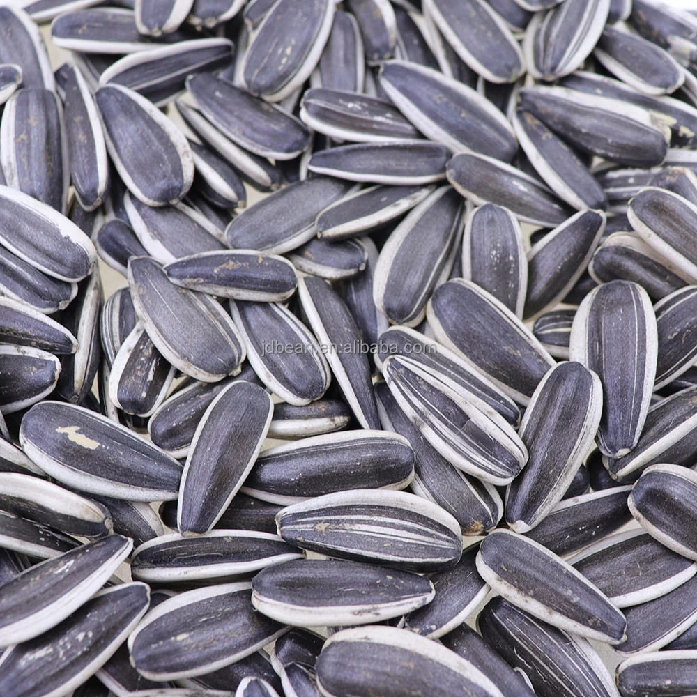 China Origin Factory Customize Dry Giant Sunflower Seeds Melon Seeds Sunflower Seeds Raw Material For Oil Extraction