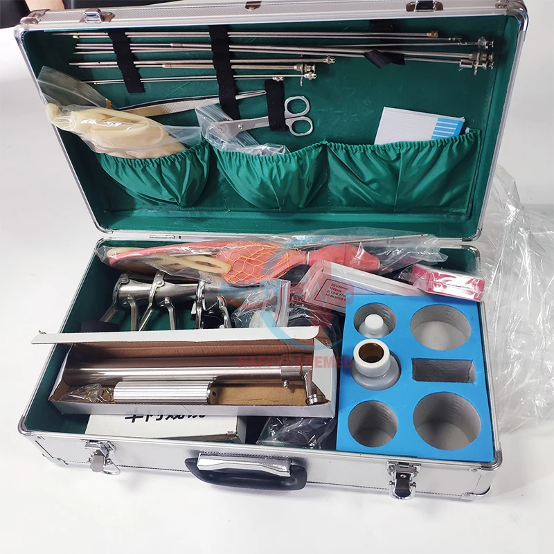 HC-R085 Big Animal Insemination Equipment Box Cattle Gun