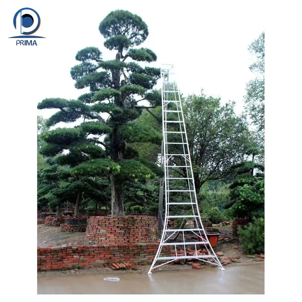 PRIMA Aluminum Telescopic Ladder 4.8M Household Step Ladder Telescopic Fiberglass Ladder