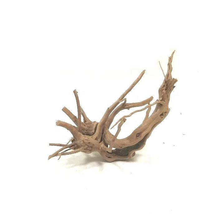 Aquarium Terrarium Landscaping Planted Tank Natural Spider Driftwood