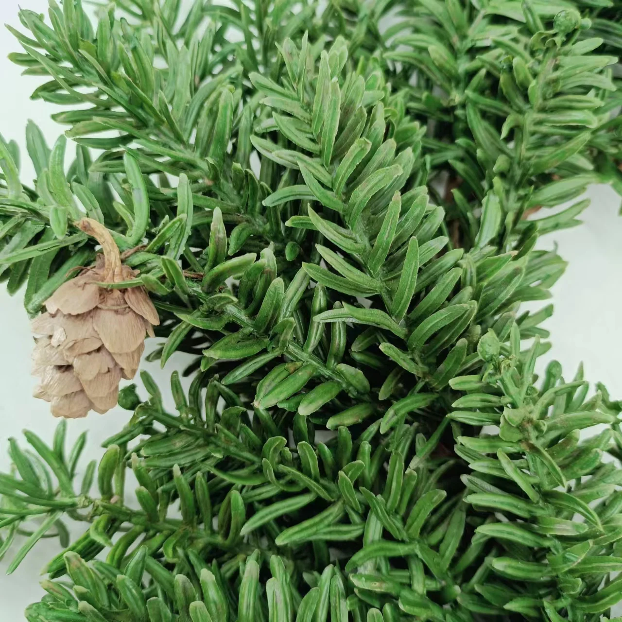 Artificial pine needles and pinecone rings wreath for Christmas