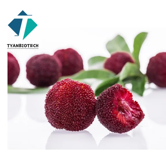 Высококачественный красный порошок Bayberry/фруктовый Waxberry