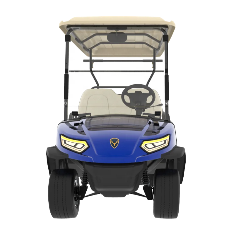 Leroad горячая распродажа Роскошные 4 местный клубный гольфмобиль Электрический гольф-мобиль с клубной бочка