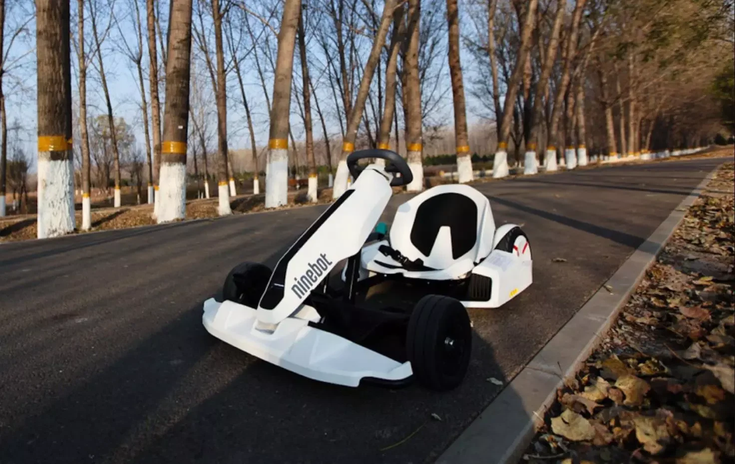 2023 недорогой Набор для игры в картинг Ninebot с мини-профессиональным гоночным бортом Gokart комплект игрушек катания на открытом воздухе