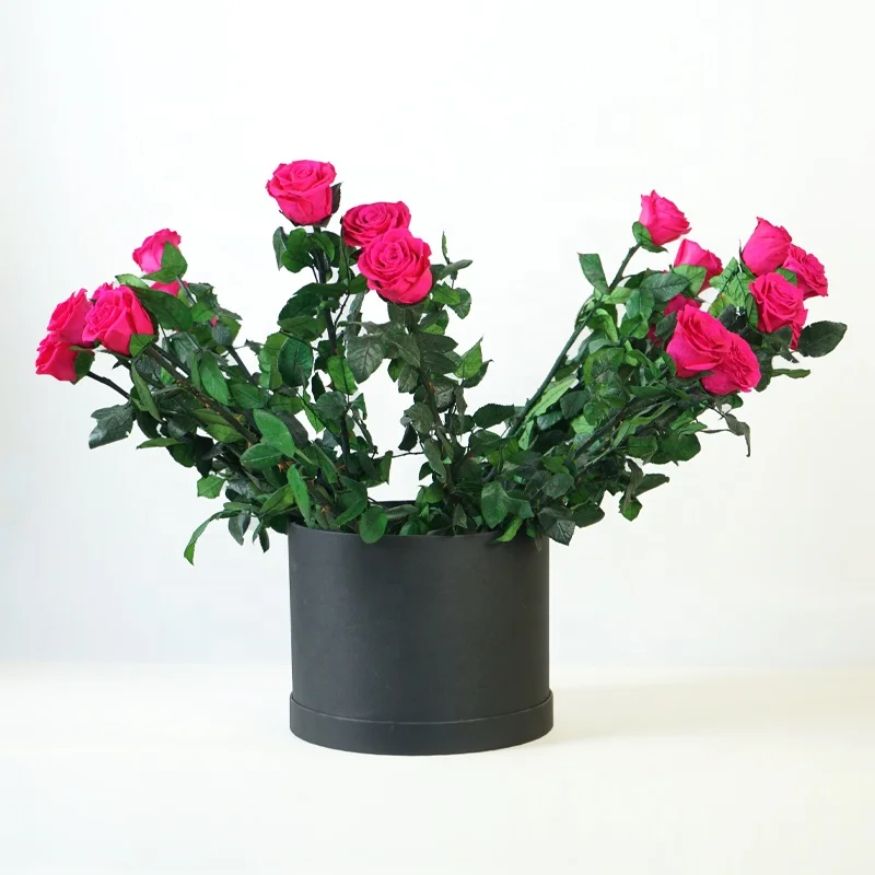 UKIQUEEN Factory Wholesale 60 cm Long A Grade Big Forever Rose Stabilized Flowers Preserved Rose with Stem in Plastic Tube