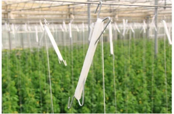 High Quality Rewinding Hanger Galvanized Tomato Clips/Hooks for Tying Tomatoes and Cucumbers