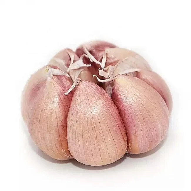 Fresh Garlic  Fresh Natural Garlic New crop Hot sales