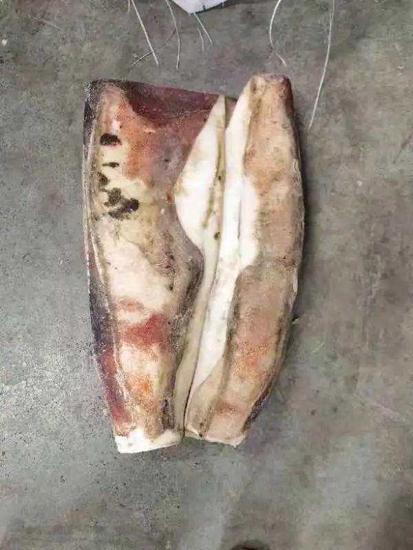 Frozen Giant Squid Fillet Skin