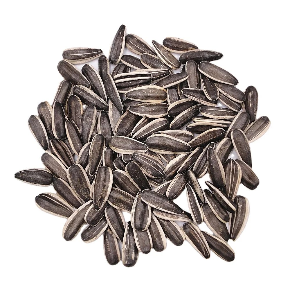 Oil sunflower seeds ukraine prices