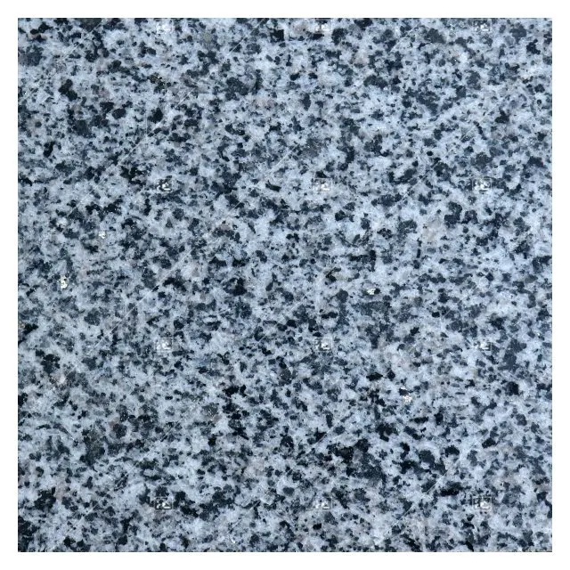 
Chinese Granite Marble Natural Granite Floor Tile Grey Granite Stone G654 Tile for Home Garden 