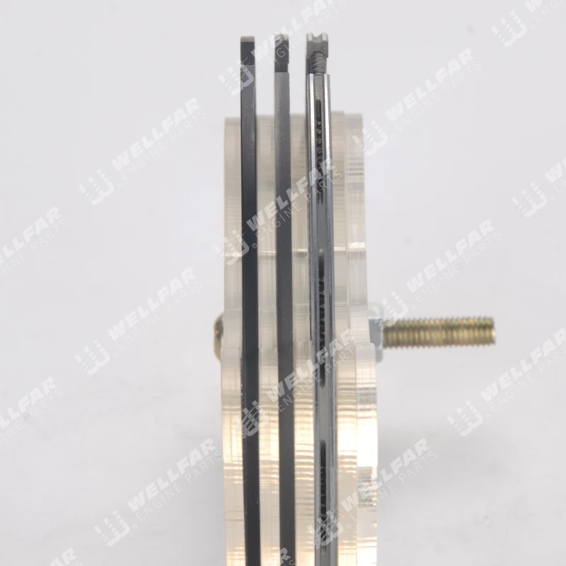 Piston ring use  1.9L Diesel F8Q Clio R19 80mm piston rings for Renault