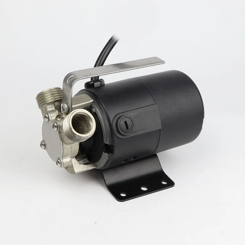 Portable Corrosion resistant Non submersible Transfer Pump With Suction Strainer