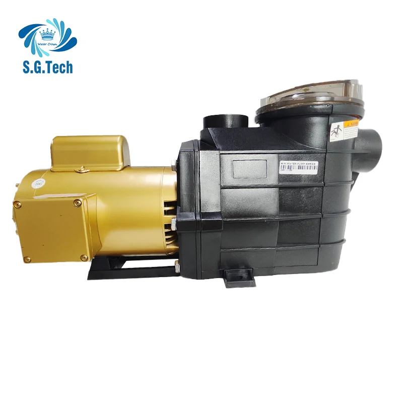 High Quality Domestic Pool Circulation Pump Electrical SP Water Pump Accessory for Swimming Pool Premium Pool Tools Accessories