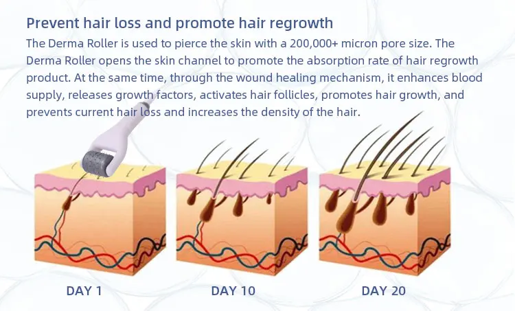 New arrival Derma Roller Skin Rejuvenation Facial Device Hair growth Machine
