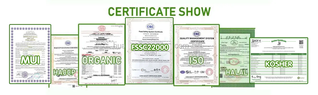 Top Quality Saw Palmetto Extract 25% 45% Fatty Acid Saw Palmetto Extract Powder