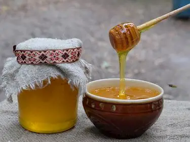 2022 Honey Factory Wholesale Price Bulk Raw Brownish Organic African Forest Honey 10 Liter Bottle