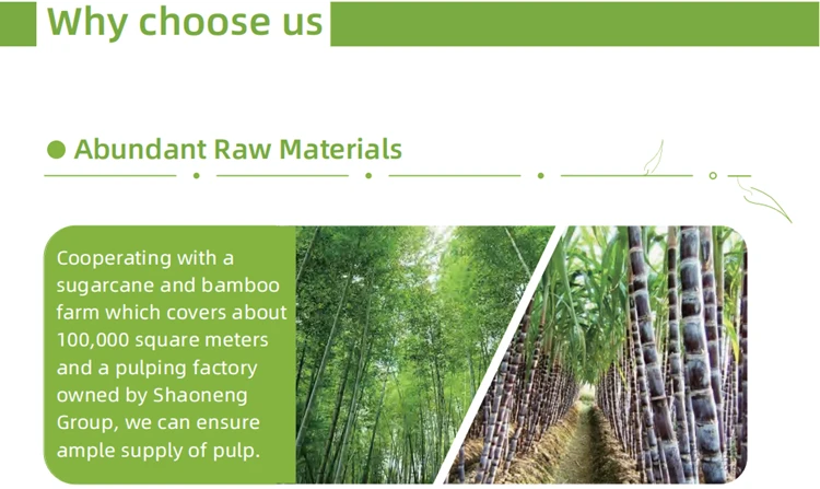 LUZHOU Natural Sugarcane Bagasse Renewable Plant Fiber Tree Free 3-Compartment Clam Shell Container