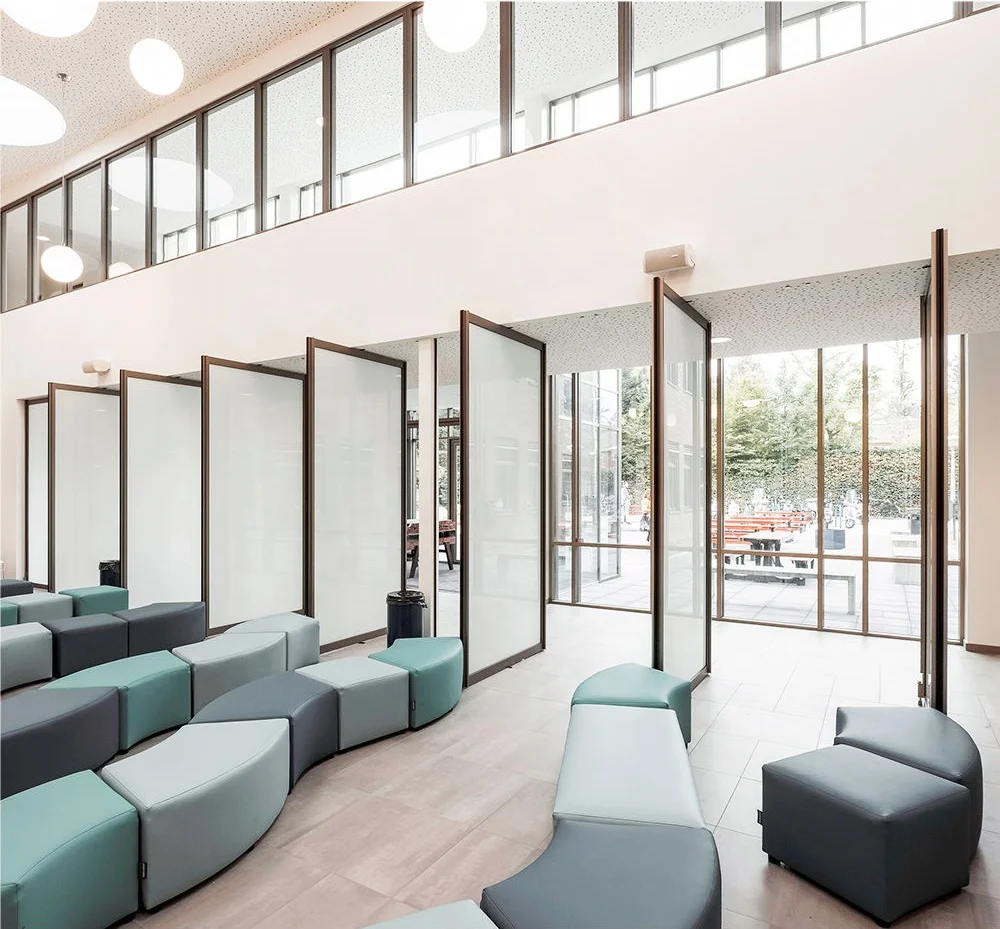 House Entrance Pivot Front Door Design Low-E Double Glass Aluminum Pivot Doors