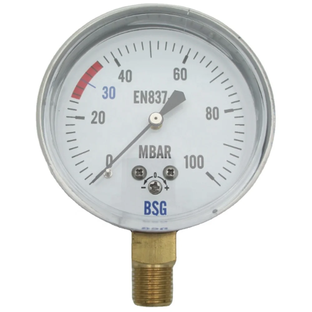 SKA-173 100mbar dial 21/2 (63mm) Capsule pressure gauge