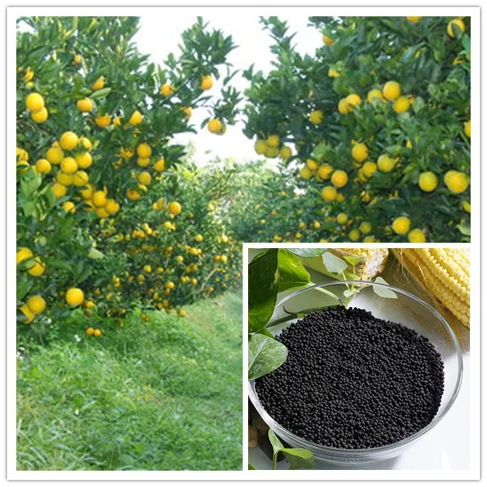 Agricultural Grade Soluble Biochemical Mineral Humic Acids Granule Potassium Humate Fulvate Organic Fertilizer Price Suppliers