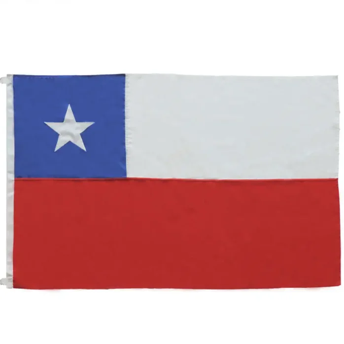 Factory Customized All Countries Flags Nation Flags with Logo Custom Printing Flags Banners