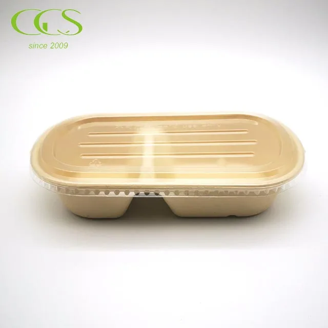 850ml Biodegradable Disposable Wheat Straw Pulp Food Container Double Compartment with Lid Eco-Friendly Paper for Camping