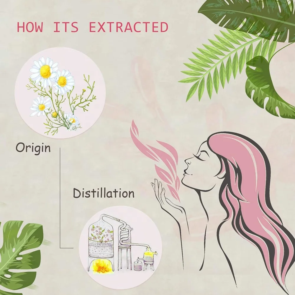 100% Pure and Natural Germany Chamomile Essential Oil Price with COA Pure Blue Chamomile Essential Oil For Candle Making