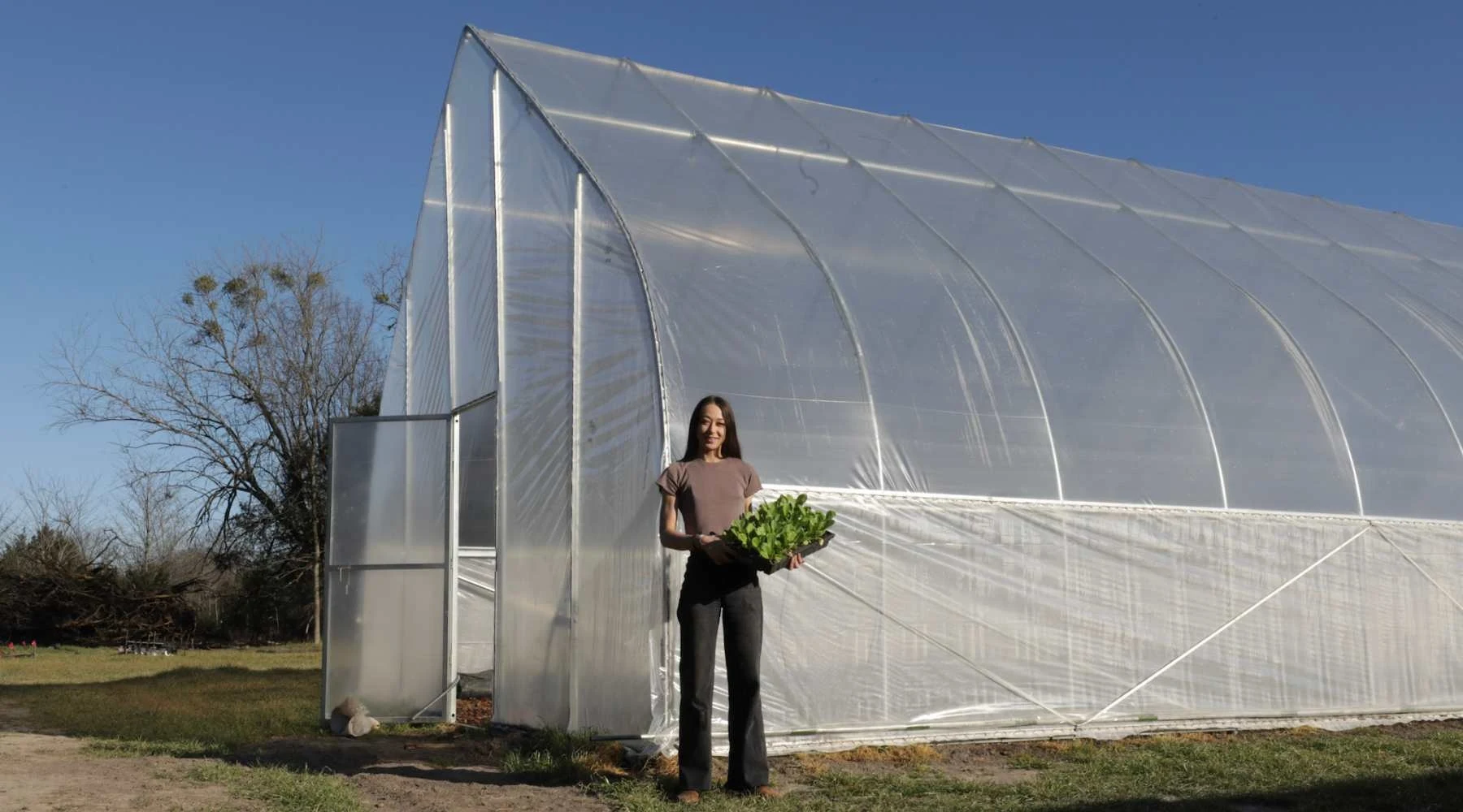 Export Single-span Greenhouse For Vegetables Low Cost  Greenhouse Frame