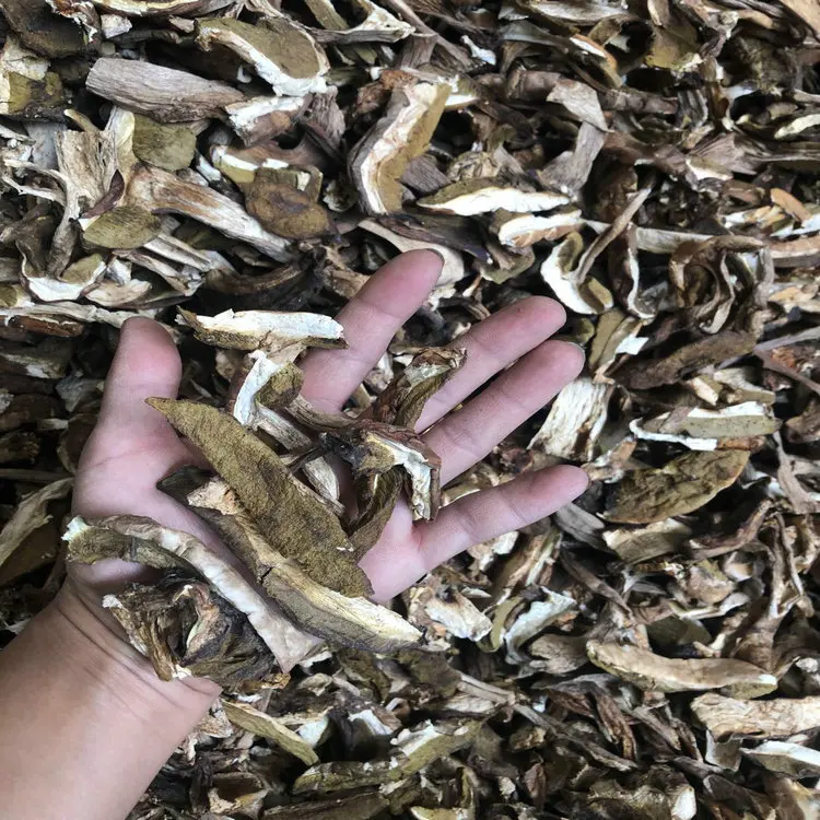 Chinese Dried Boletus Edulis Dry Boletus Mushrooms Boletus Edulis