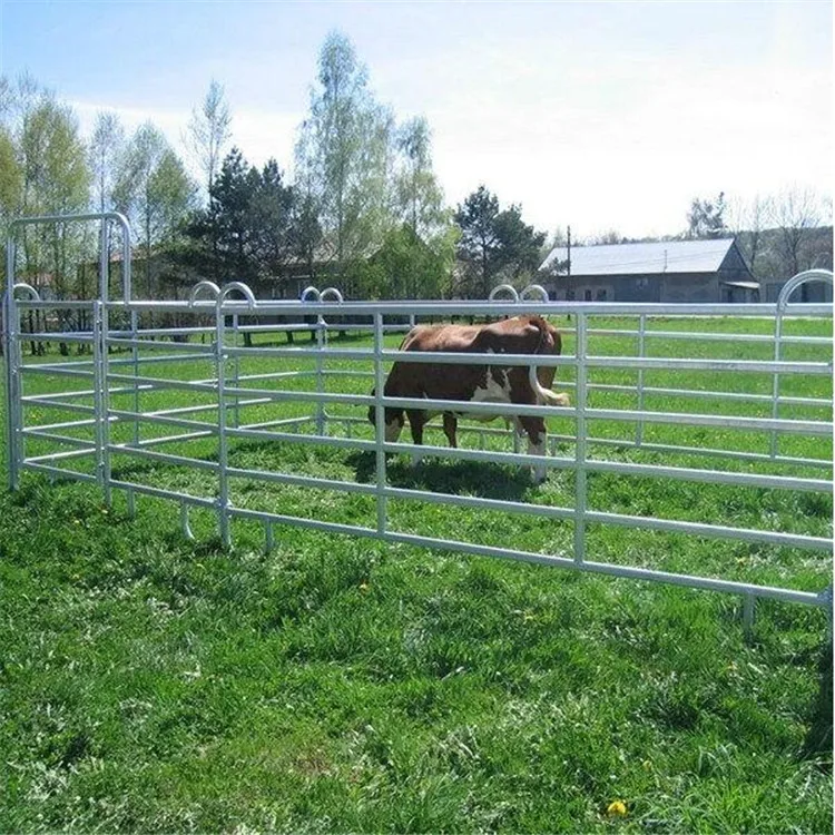 Hot Sell Hot Dipped Galvanized Round Tube Animal Feedlot Equipment for Cattle Corral Panels