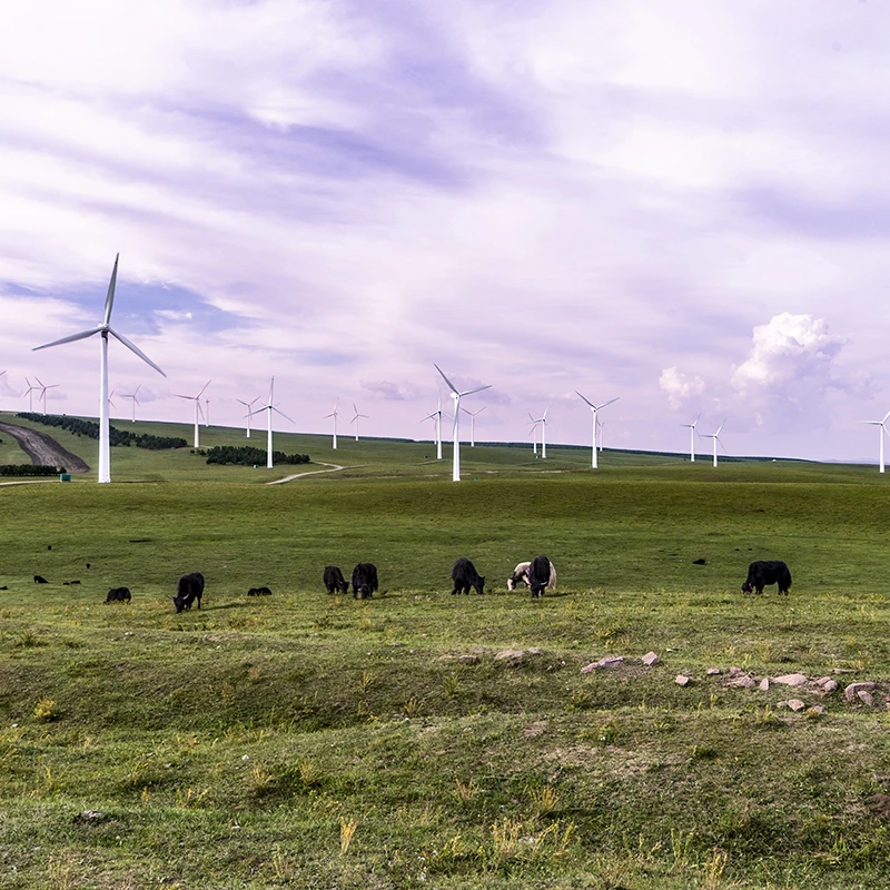 Best Quality on grid system 10kw 20kw 30kw 50kw 60kw 70kw Horizontal Axis Wind Turbine Generator Homeuse