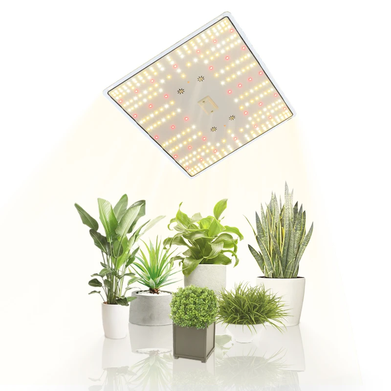 100W LM301H EVO LED Grow Light 3500K IR Full Spectrum Plant Grow Light For Flowers Vegetables Indoor and Outdoor
