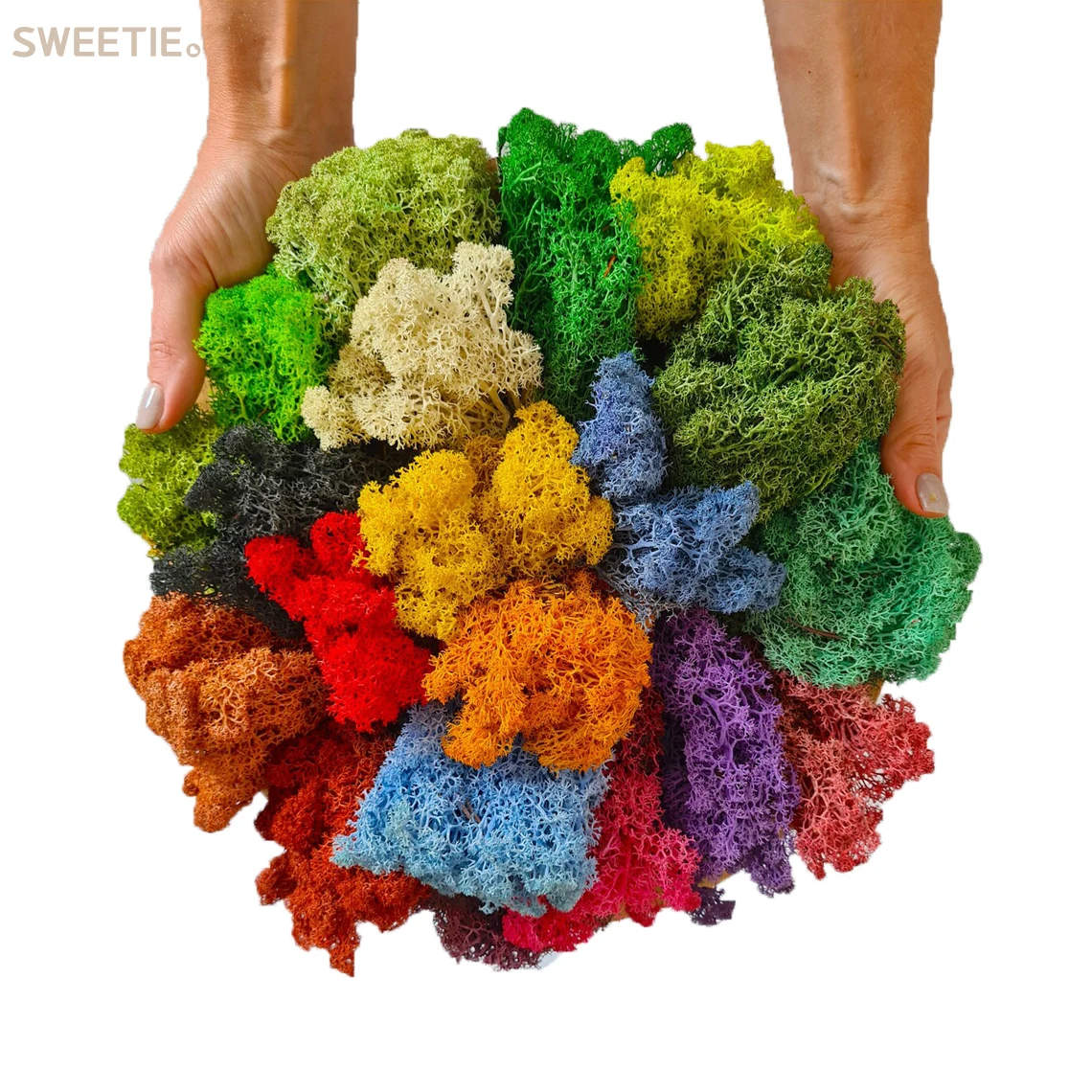 Wholesale hot sale natural green stabilized moss musgo preservado 500g colorful reindeer live preserved moss bulk